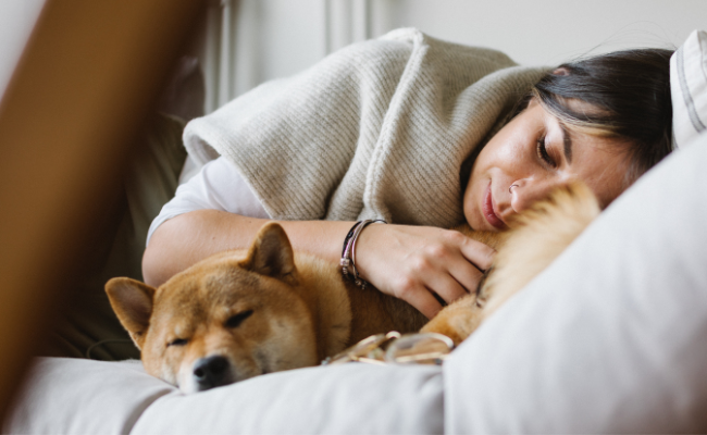 renforcement du lien dormir avec son chien